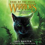 The forgotten warrior cover image