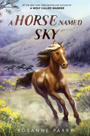 A Horse Named Sky cover image