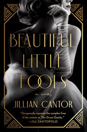 Beautiful little fools : a novel cover image