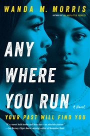 Anywhere you run : a novel cover image