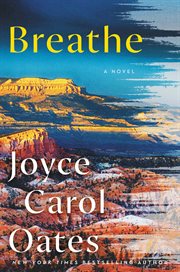 Breathe : a novel cover image