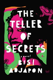 The teller of secrets : A Novel cover image