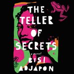 The teller of secrets : a novel cover image