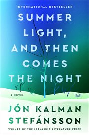 Summer light, and then comes the night : a novel cover image