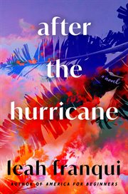 After the hurricane : a novel cover image