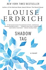 Shadow tag : a novel cover image