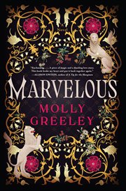 Marvelous : A Novel cover image
