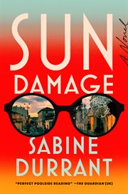 Sun Damage : A Novel cover image