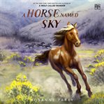 Horse Named Sky, A cover image