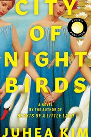 City of Night Birds cover image