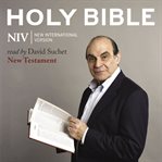 Niv, new testament audio bible, audio download cover image