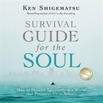 Survival guide for the soul : how to flourish spiritually in a world that pressures us to achieve cover image