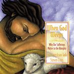 When God weeps: why our sufferings matter to the almighty cover image