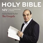 Holy Bible : new international version : the Gospels cover image