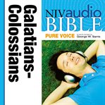 NIV Audio Bible NIV Audio Bible