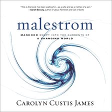 Cover image for Malestrom