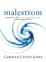 Malestrom : manhood swept into the currents of a changing world cover image