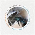White feathers : the nesting lives of tree swallows cover image