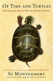 Of Time and Turtles : Mending the World, Shell by Shattered Shell cover image