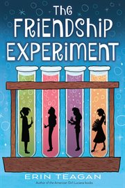 The friendship experiment cover image