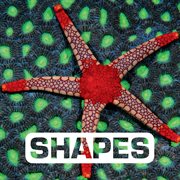 Shapes cover image