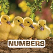 Numbers cover image