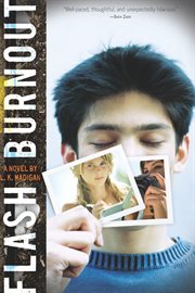 Flash burnout : a novel cover image