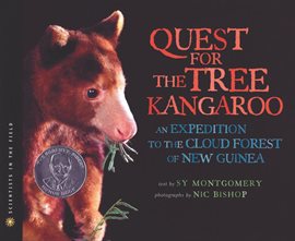 Cover image for The Quest for the Tree Kangaroo