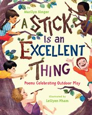 A STICK IS AN EXCELLENT THING cover image