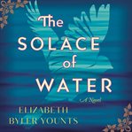 The solace of water : a novel cover image