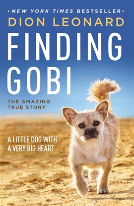 Cover image for Finding Gobi