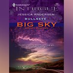 Bullseye cover image