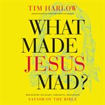 What made Jesus mad? : rediscover the blunt, sarcastic, passionate savior of the Bible cover image