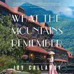 What the Mountains Remember cover image