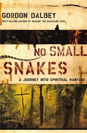 No small snakes : a journey into spiritual warfare cover image