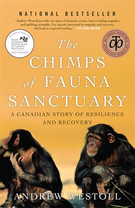 Chimps Of Fauna Sanctuary