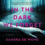 In the dark we forget : a novel cover image