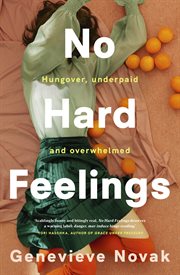 No Hard Feelings cover image