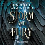 Storm and fury cover image
