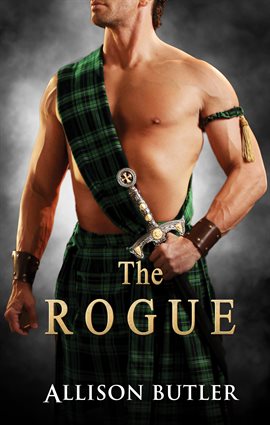 Cover image for The Rogue