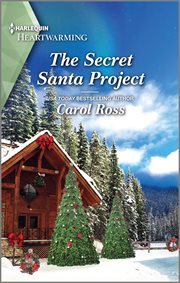 The secret Santa project cover image