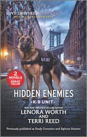 Hidden Enemies cover image