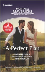 A perfect plan cover image