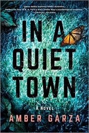 In a Quiet Town : A Novel cover image
