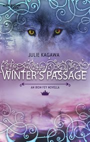 A winter's passage cover image