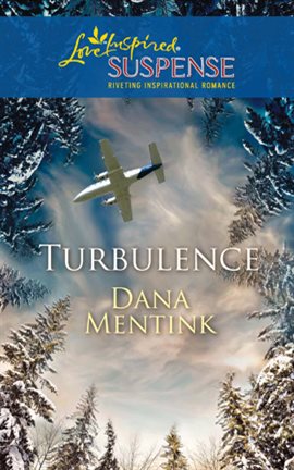 Cover image for Turbulence