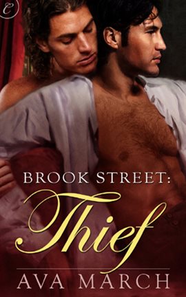 Cover image for Thief