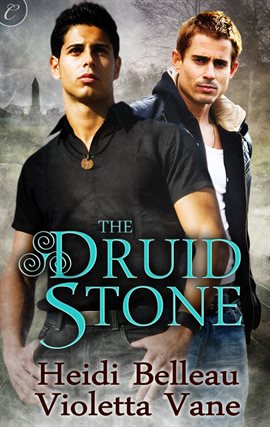 Cover image for The Druid Stone