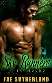 Sky runners cover image