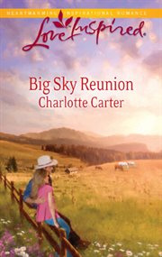 Big sky reunion cover image